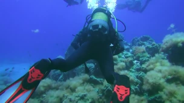 2012年9月12日 カナリア諸島のラ パルマで 大西洋での減圧の際に水中で潜水する 信じられないほど珍しい映像 スペインのクリスタルクリアウォーターでスキューバダイビング — ストック動画
