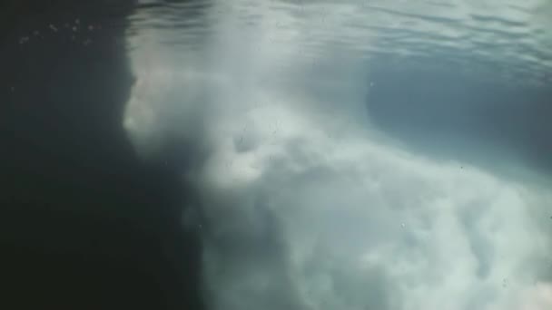 Onderwatervideo Koud Helder Water Van Noordelijke Ijszee Drijvend Rond Bewoners — Stockvideo
