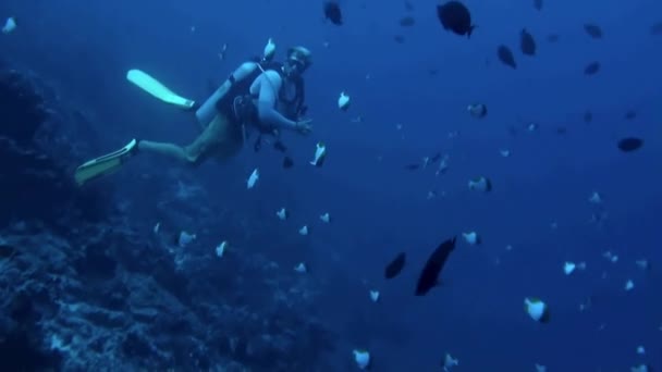 フランス領ポリネシア 2020年8月3日 魚の群れに囲まれたダイバーの水中ビューは息をのむようなものです ダイバーは機器を管理し電流をナビゲートすることを学ぶ必要があります — ストック動画