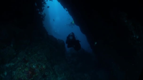 イスラ 2018年1月4日 イスラ ココで水中のダイバーの美しい景色 海洋の深みには 古くから探検家や科学者を魅了してきた秘密や謎があります — ストック動画