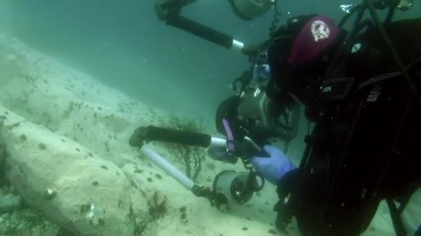 Onderwatervideo Koud Helder Water Van Zuidelijke Oceaan Antarctica Drijvend Rond — Stockvideo