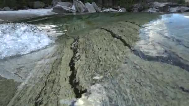 维尔扎斯卡山河水清澈清澈清澈 清澈的河水流过高山 在透明的水底光滑的岩石上生长着绿色的海藻 — 图库视频影像