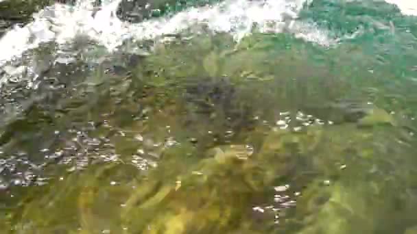 Das Schnell Fließende Wasser Des Gebirgsflusses Schärft Den Stein Und — Stockvideo