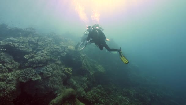 Scatto Rallentatore Diver Sullo Sfondo Scuola Pesce Paesaggio Subacqueo Kepulauan — Video Stock