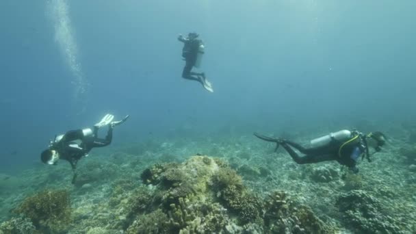 Buceador Segundo Plano Escuela Peces Paisaje Submarino Kepulauan Banda Indonesia — Vídeos de Stock