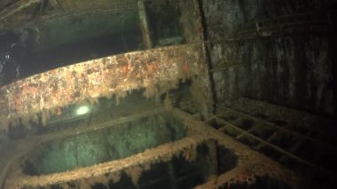 Dalgıçlar batık İsveç feribotu MS Zenobia 'da yüzerler. Enkaz dalışı. Akdeniz, Kıbrıs 'ta. Deniz felaketleri. Sualtı 4K video kaydı Batık Geminin Çekimi. Su altında dünya trajedileri.