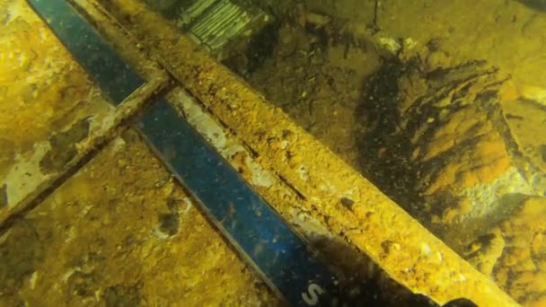 Slow Motion Video Shipwreck Swedish Ferryzenobia Wreck Diving Mediterranean Sea — Stock Video
