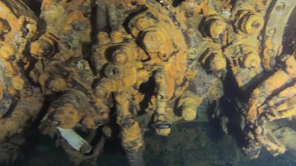 Potápěči Plavou Švédském Trajektu Zenobia Vrak Potápění Středozemní Moře Kypr — Stock video