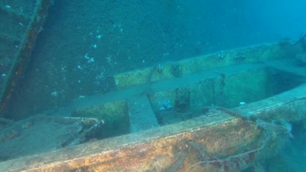 Zeitlupenvideo Auf Der Schiffswrackfähre Zenobia Wracktauchen Mittelmeer Zypern Schiffskatastrophen Unterwasser — Stockvideo