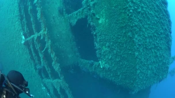 Mediterranean Sea Cyprus Ağustos 2019 Scuba Dalgıçları Sveç Batık Gemisi — Stok video