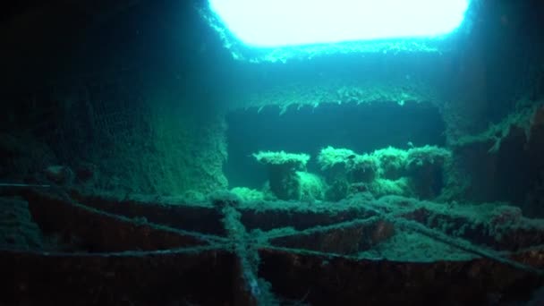 Mediterranean Sea Cyprus August 2019 Scuba Divers Swimming Ship Wreck — 图库视频影像