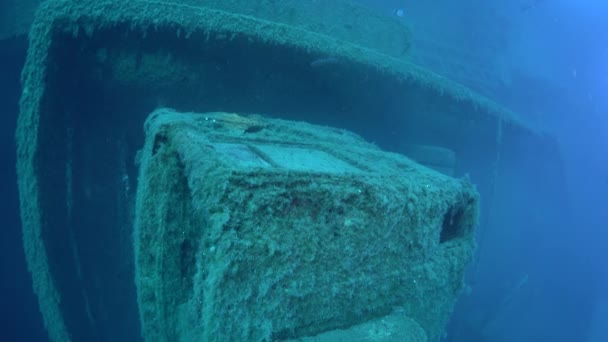 Mer Méditerranée Chypre Août 2019 Des Plongeurs Nagent Sur Épave — Video