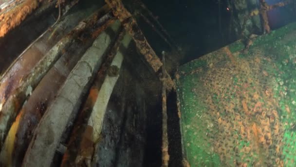 Водні Дайвери Плавають Корабельній Аварії Підводне Плавання Середземне Море Кіпр — стокове відео