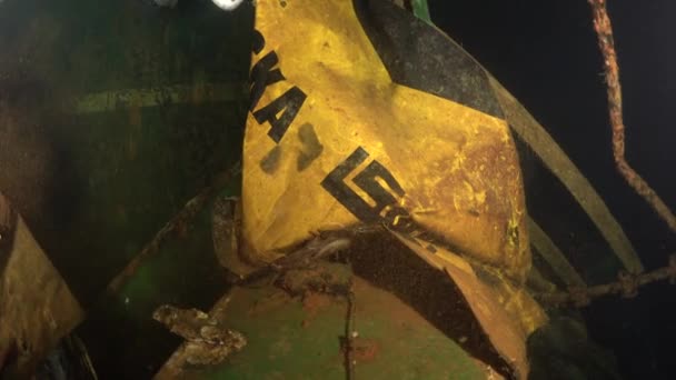Scuba Divers Swims Shipwreck Wreck Diving Mediterranean Sea Cyprus Maritime — Stock Video
