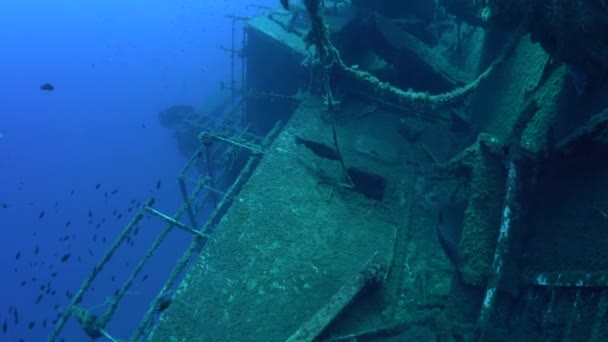 Los Buceadores Nadan Ferry Sueco Shipwreck Zenobia Buceo Naufragios Mar — Vídeos de Stock