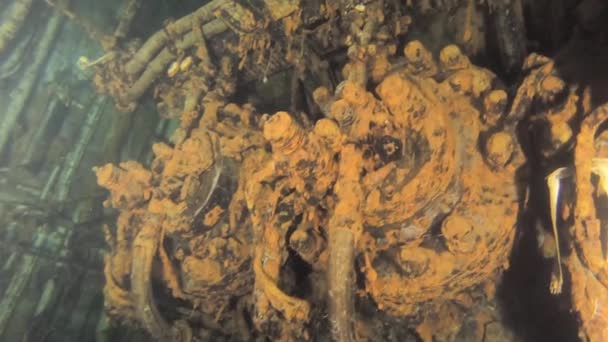 Zeitlupenvideo Auf Der Schiffswrackfähre Zenobia Wracktauchen Mittelmeer Zypern Schiffskatastrophen Unterwasser — Stockvideo