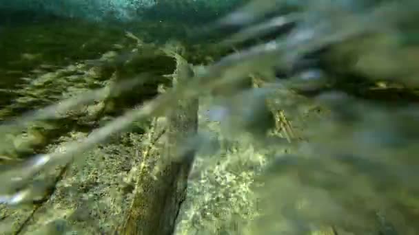 Úzká Voda Pohoří Verzaska Švýcarsku Brousí Kámen Podvodní Pohled Rychle — Stock video