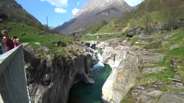 Azure Tyrkysová Voda Horské Řeky Verzaska Švýcarsku Pozadí Skalnatého Lesního — Stock video