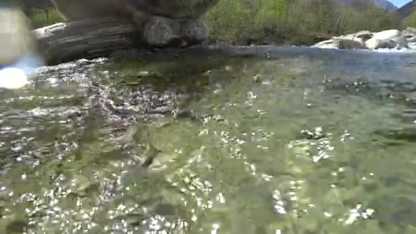 Fast Flowing Waters Mountain River Sharpen Stone Create Incredible Patterns — Stock Video