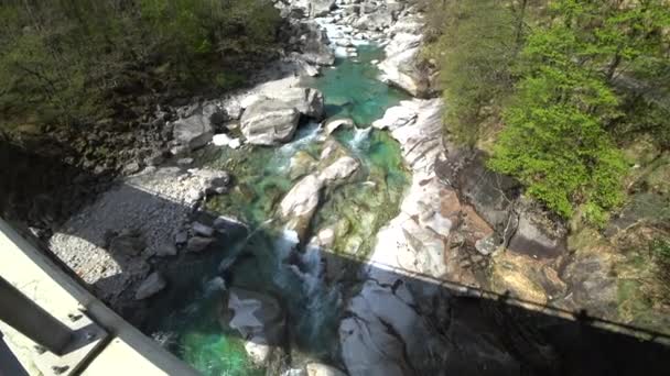 緑の木と岩の森の海岸を背景にスイスのVerzaskaの紺碧の水と山の川 荒野だ 手つかずの自然 — ストック動画