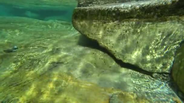 Szybko Płynące Wody Górskiej Rzeki Wyostrzają Kamień Tworzą Niesamowite Wzory — Wideo stockowe