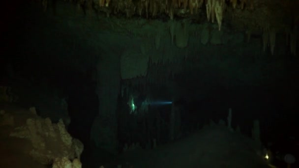 멕시코 세노테 유카탄의 동굴에서 잠수하는 깨끗하고 물에서 잠수하는 사람들 — 비디오