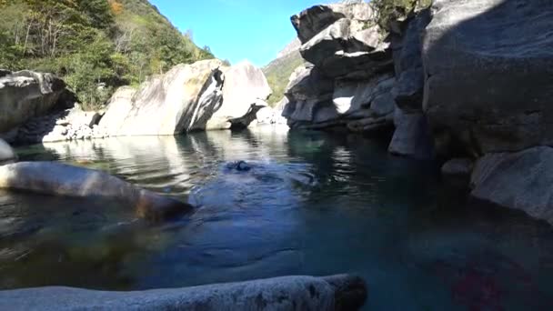 スイスのVerzaskaの山の川の水のダイバー 岩だらけの海岸を背景に 荒野だ 手つかずの自然 エコツーリズム — ストック動画