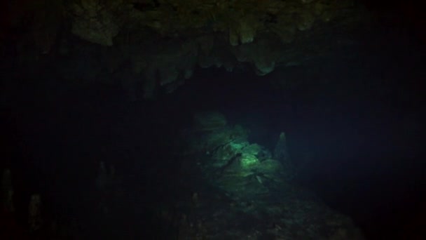 墨西哥尤卡坦半岛水下洞穴中的洞穴潜水 在干净的地下水中潜水的人 — 图库视频影像