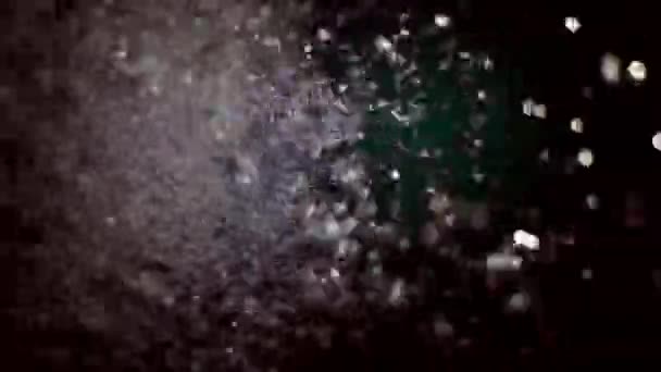 멕시코 세노테 유카탄의 동굴에서 잠수하는 깨끗하고 물에서 잠수하는 사람들 — 비디오