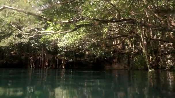 Jeskynní Potápění Podmořských Jeskyních Yucatan Mexico Cenotes Potápěči Čisté Čisté — Stock video