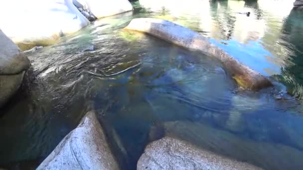 Das Schnell Fließende Wasser Des Gebirgsflusses Schärft Den Stein Und — Stockvideo