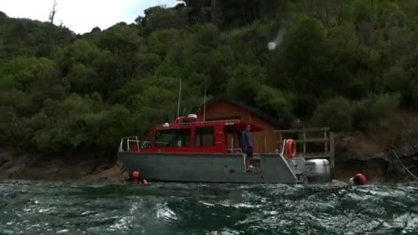Podvodní Krajina Videa Vodě Nového Zélandu Tichém Oceánu Plovoucí Kolem — Stock video