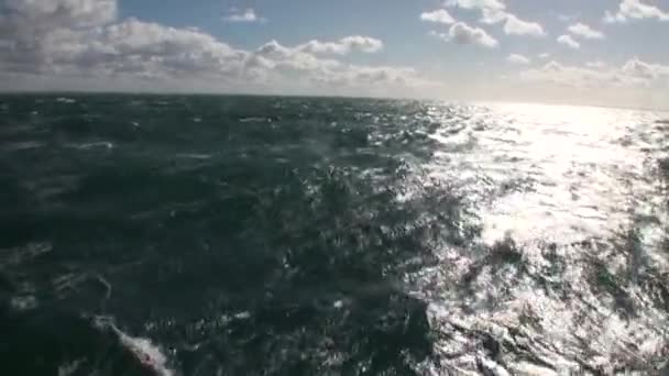 Frachtschiff Fähre Patagonien Wassertransport Erstaunliche Natur — Stockvideo