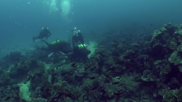 Isla Del Coco Stycznia 2018 Piękny Widok Nurków Pęcherzyków Pod — Wideo stockowe