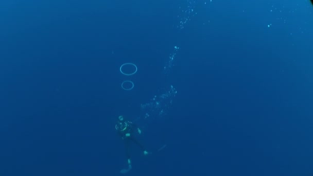 2018年1月4日 アイラス Ila Del Coco ダイバー水中は リングのクローズアップ空気の形をした気泡を作ります 水中世界の美しさと独自性には限界がないことを覚えておいてください — ストック動画