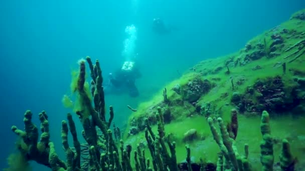 美丽的贝加尔湖水下地形背景的潜水员 贝加尔湖的水下世界确实令人叹为观止 许多峡谷 山脊和悬崖峭壁创造了异国情调的美丽风景 — 图库视频影像