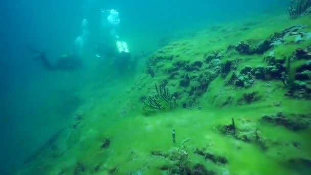 Красота Подводной Местности Растениями Байкала Фоне Дайверов Дайверы Посещающие Озеро — стоковое видео