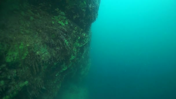 Захватывающий Вид Ложе Завораживающего Глубокого Байкальского Озера Водой Озеро Является — стоковое видео