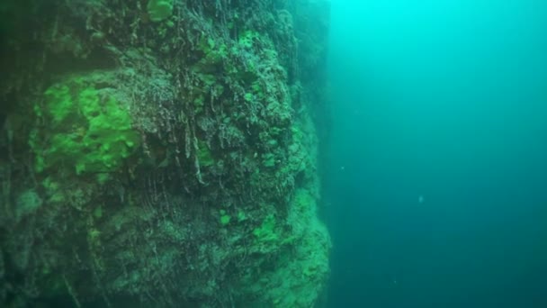 Baykal Gölü Nün Dibindeki Altı Manzaraları Olağanüstü Yüzeyinin Üstünde Altında — Stok video
