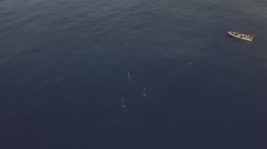 Teknenin yanında insanlarla birlikte ispermeçet balinası ailesi. Sperm balinaları, balina familyasından bir grup deniz memelisidir. Entelektüel karmaşıklıkları ve iletişim yetenekleri ile tanınırlar..