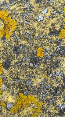 Doku d 'une boite aux lettres la poste 