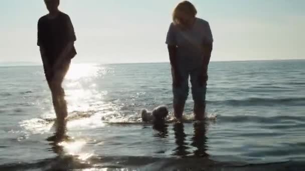 Mãe Filha Divertindo Mar Com Cão — Vídeo de Stock