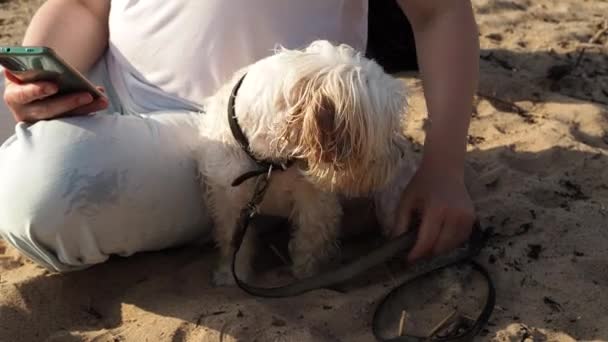 Kobieta Pies Plaży — Wideo stockowe