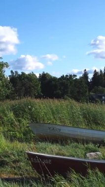 Bir yaz günü, ormanın yakınındaki saz çalılıklarında kıyıda iki tekne.