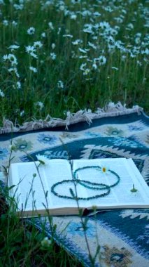 Papatya çiçekleri arasında otların üzerinde etnik desenli bir kilim üzerinde bir kitap ve mücevher boncuğu.