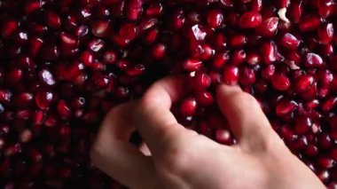 Kızlar nar tohumlarını eşeler ve parlak Garnet taşını bulur.