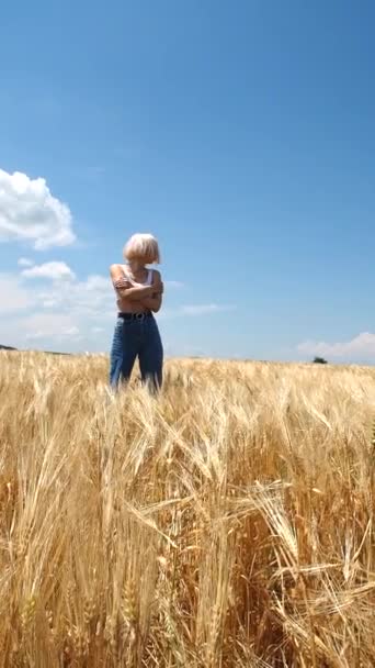 Blonde Haut Blanc Jeans Tient Dans Champ Seigle Contre Ciel — Video