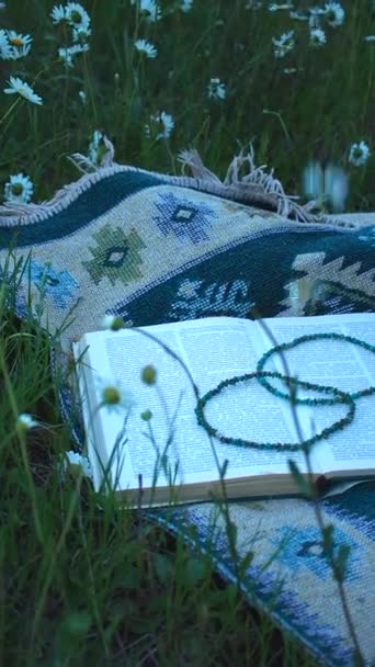 Książka Perełki Klejnotów Etnicznie Wzorzystym Dywanie Trawie Wśród Kwiatów Rumianku — Wideo stockowe
