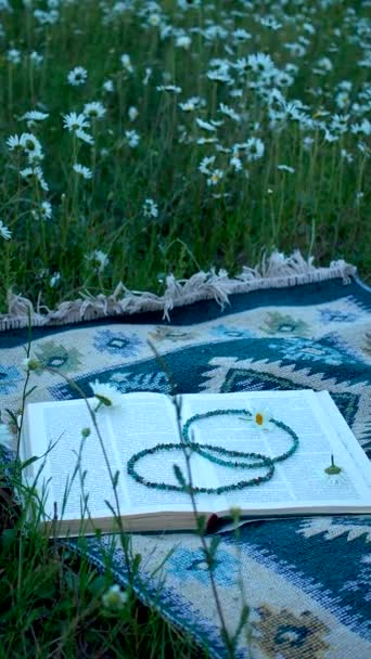 Książka Perełki Klejnotów Etnicznie Wzorzystym Dywanie Trawie Wśród Kwiatów Rumianku — Wideo stockowe