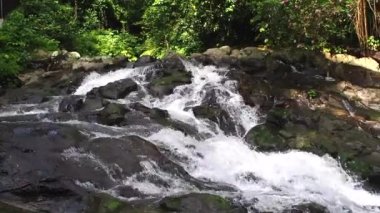 Dağ nehri kayalardan aşağı akıyor. Ağaçların etrafından ağır çekimde geçiyor.